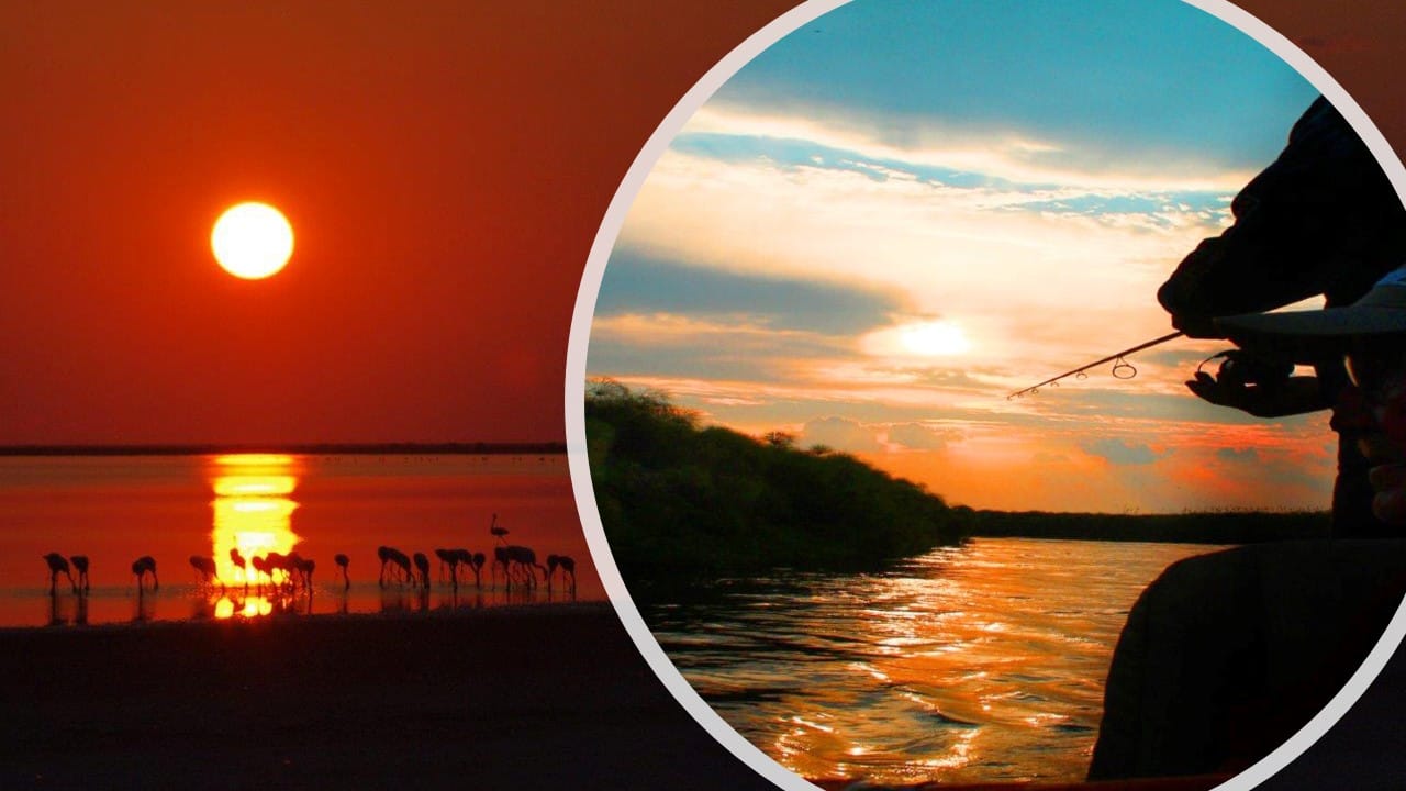 Waterways, warthogs and wonder: A journey into Botswana