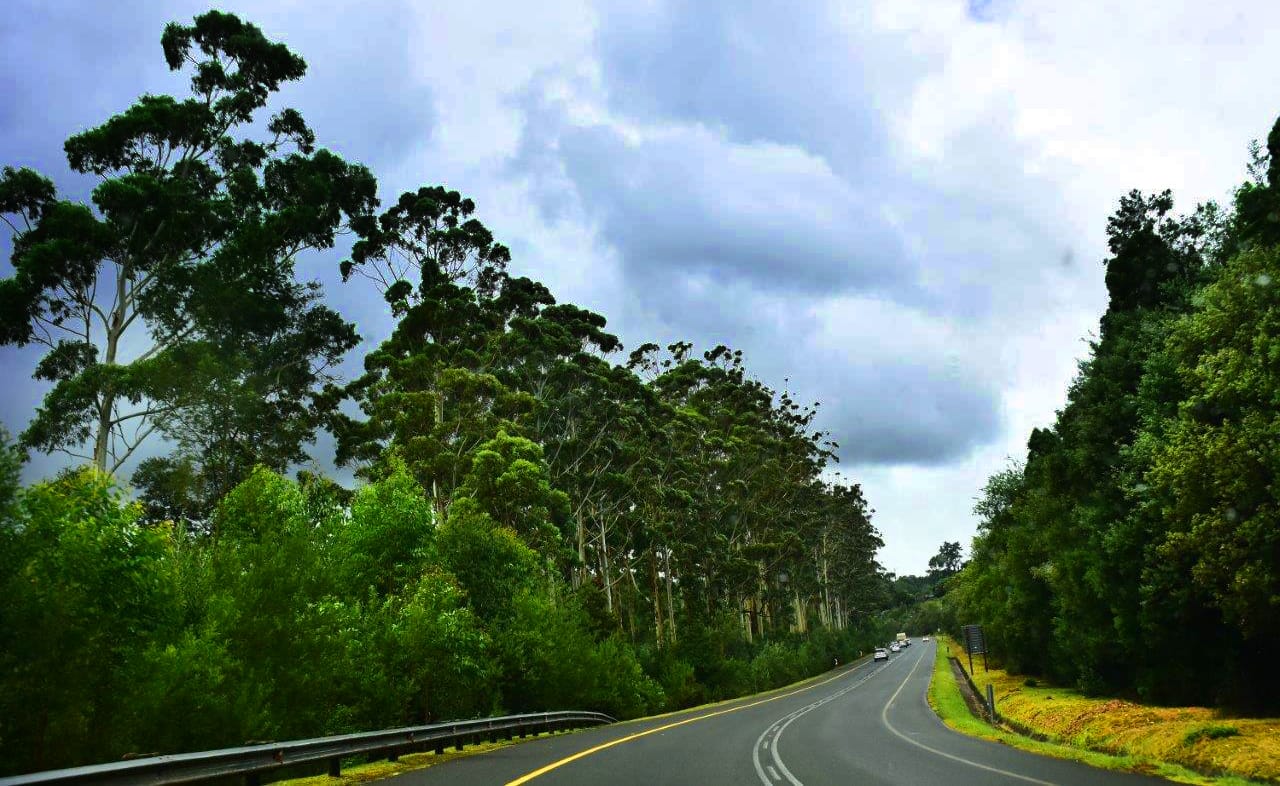 Travelling for the first time? How to choose a route in Southern Africa that’s right for you