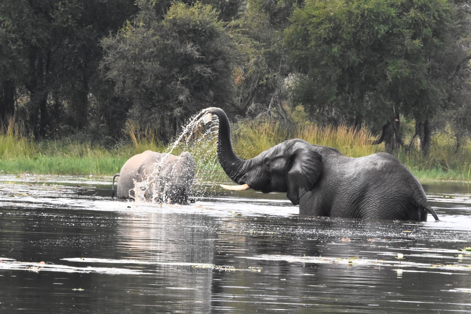 I don't like the Kruger National Park…