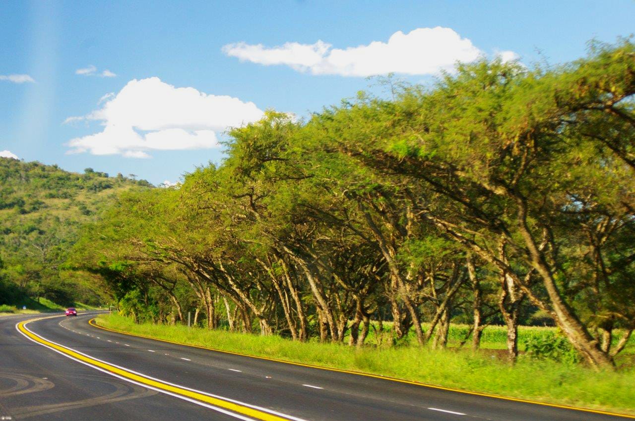 Travelling for the first time? How to choose a route in Southern Africa that’s right for you