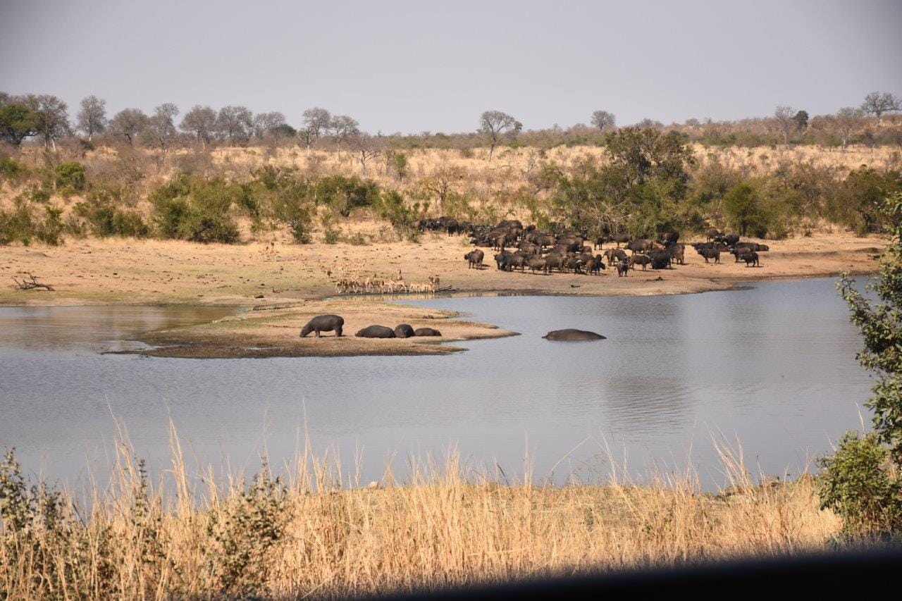 I don't like the Kruger National Park…