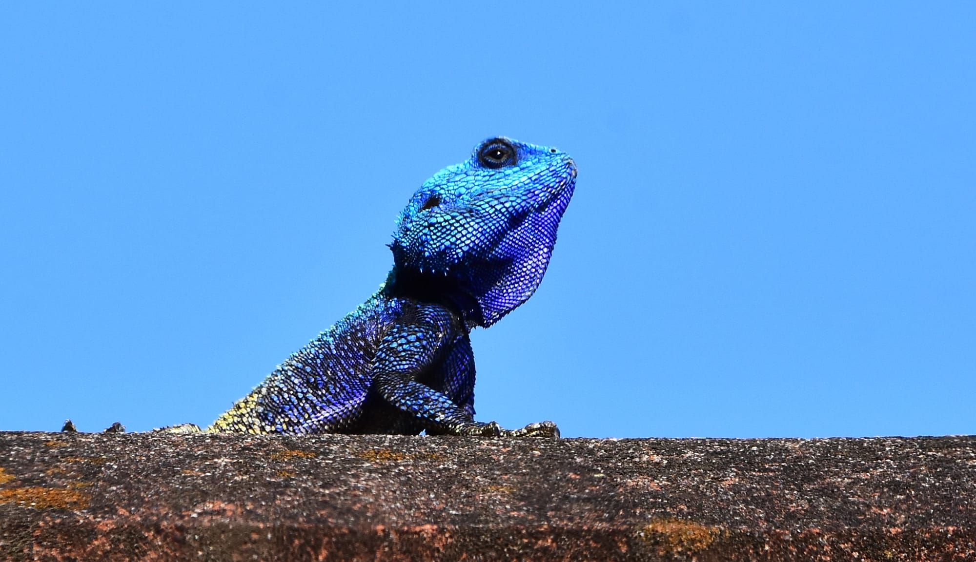 Staying put: A destination with no passport required