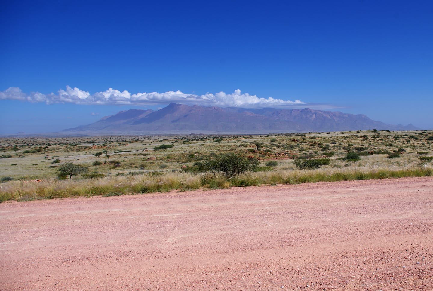 Do neighbouring countries make worthwhile road trip destinations in summer?