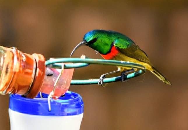 Staying put: A destination with no passport required