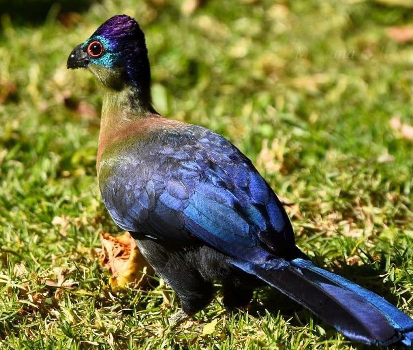 Staying put: A destination with no passport required