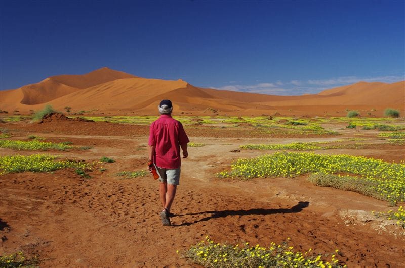 Explore the Garden Route - South Africa’s most iconic December holiday journey