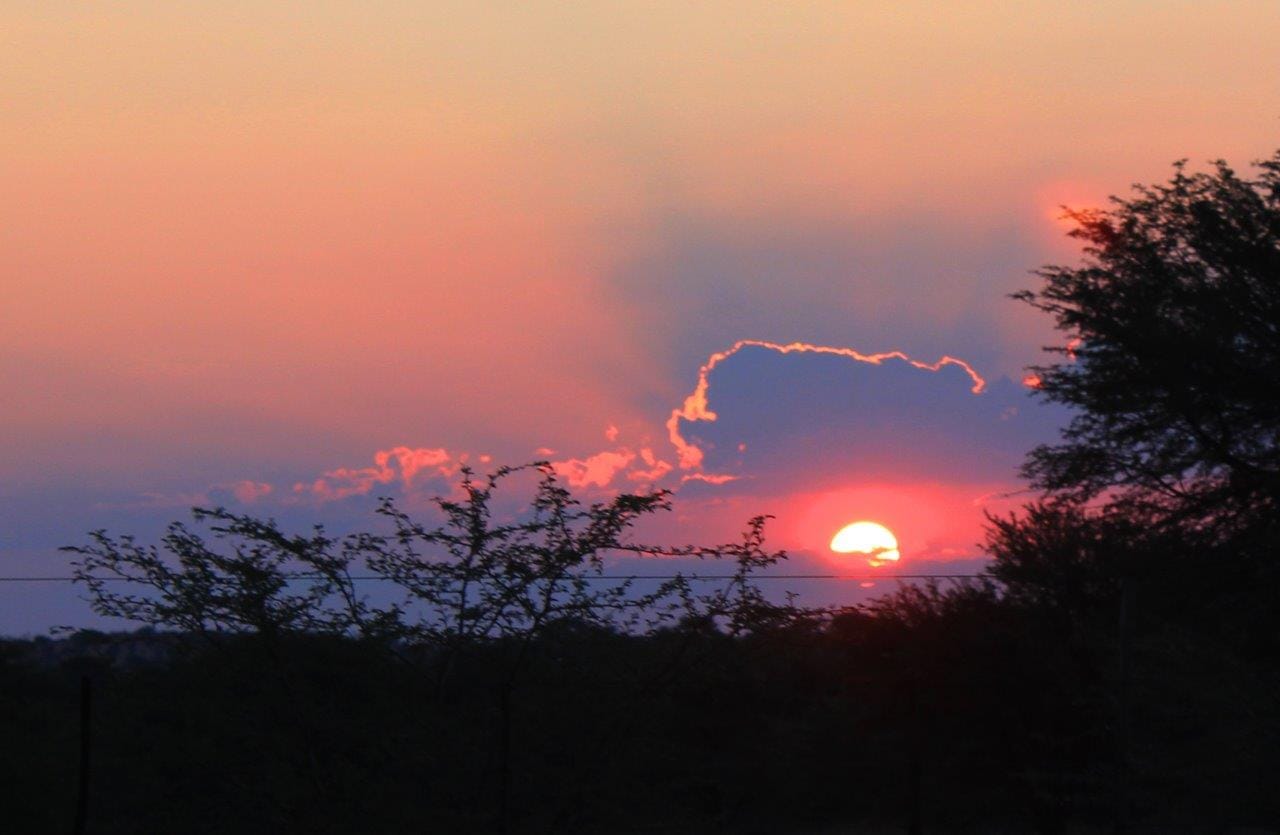 Do neighbouring countries make worthwhile road trip destinations in summer?